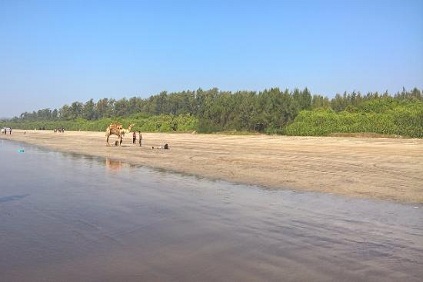Diveagar beach - The Corinthians Pune
